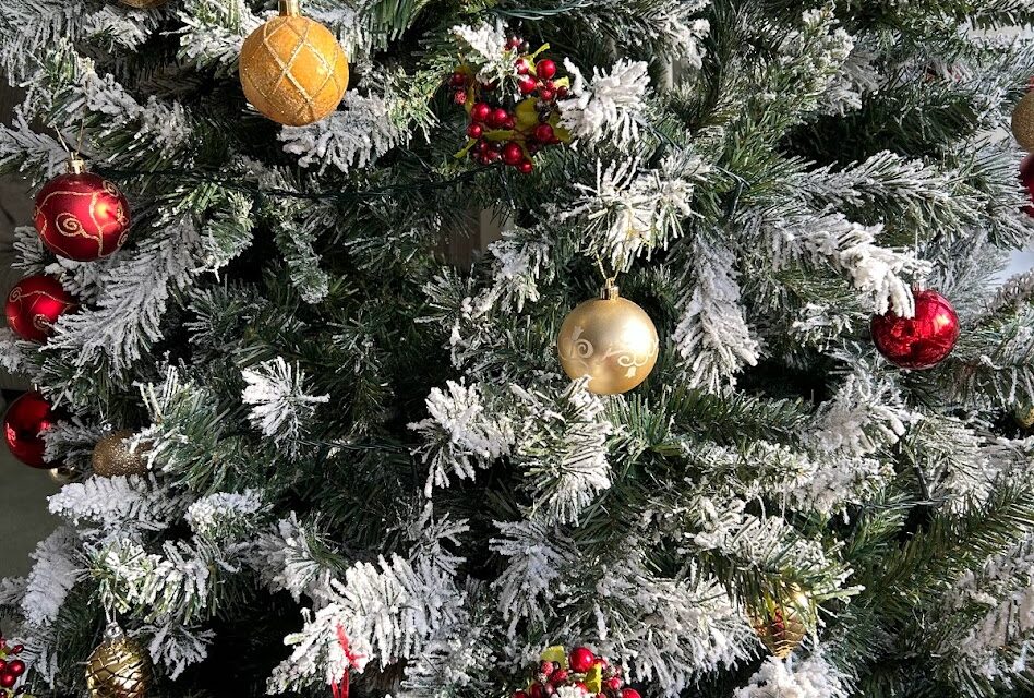 Top 5 Cat Theme Christmas Stockings