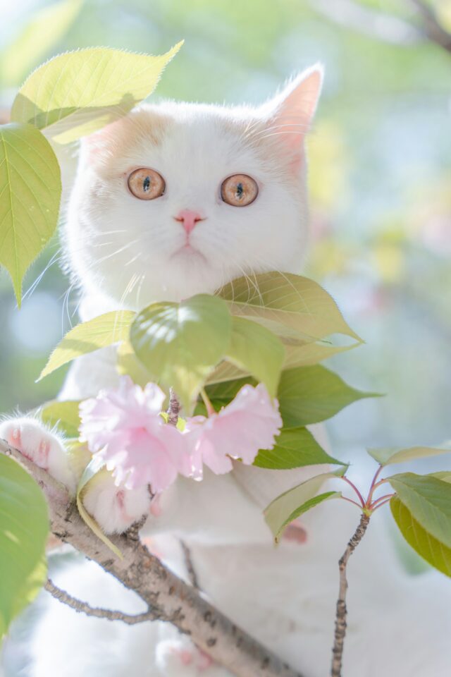 Photo by Dong Cheng on Unsplash