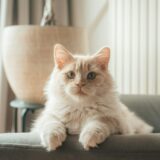 Photo by Eduard Delputte on Unsplash