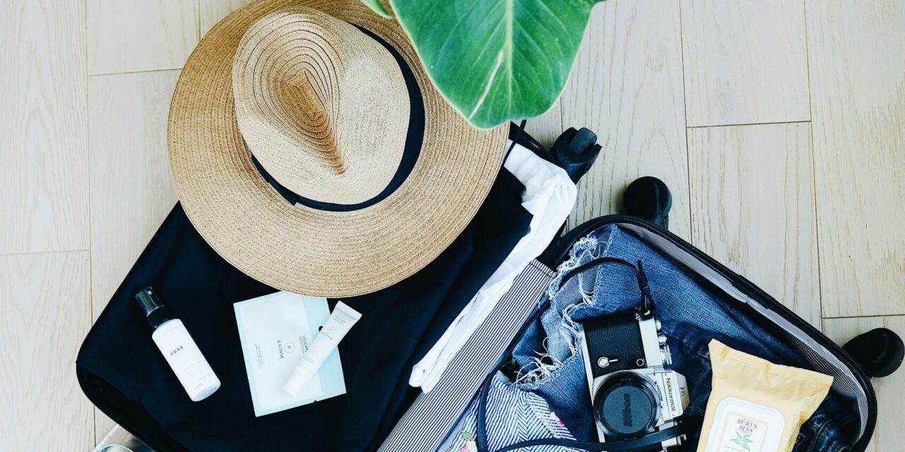 Considerations When Travelling Without Your Cats