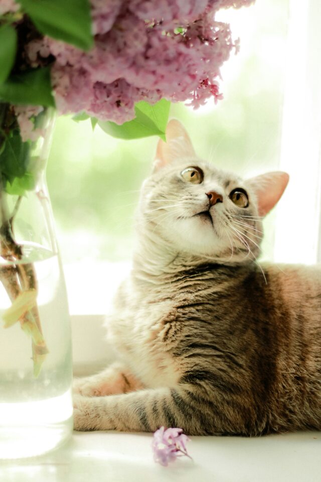 Photo by Nastia Petruk on Unsplash