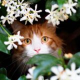 Photo by Niklas Ohlrogge (niamoh.de) on Unsplash